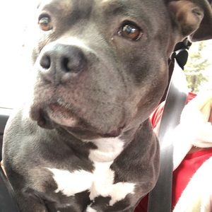 Meet your Posher, Kimberlie